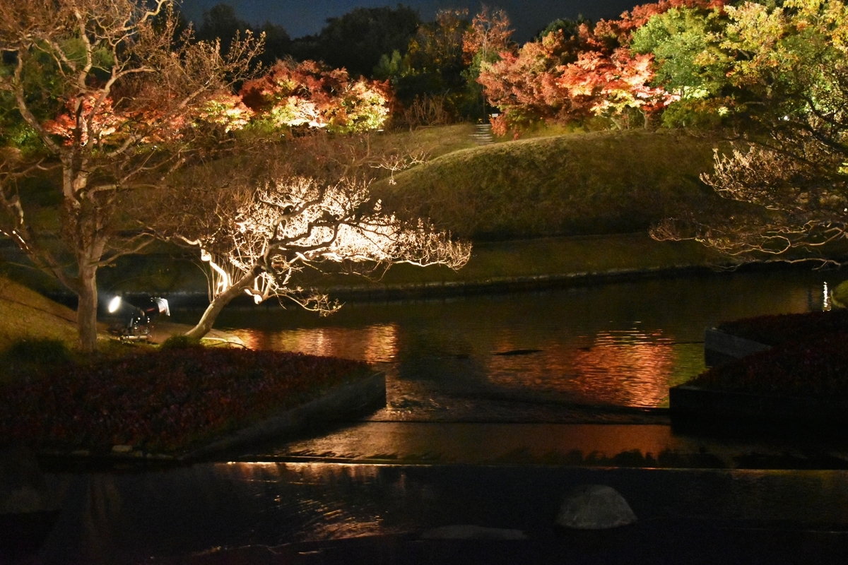 梅小路公園・朱雀の庭の紅葉ライトアップ 見頃 2018年11月27日 撮影:MKタクシー