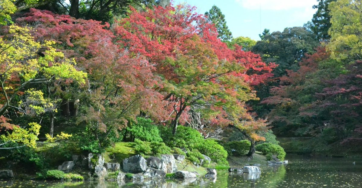 abcd・北池の紅葉 見頃近し 2017年11月11日 撮影:MKタクシー
