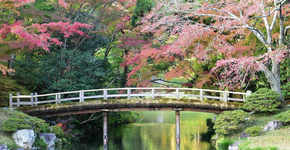 京都仙洞御所・紅葉橋の紅葉 見頃近し 2018年11月14日 撮影:MKタクシー