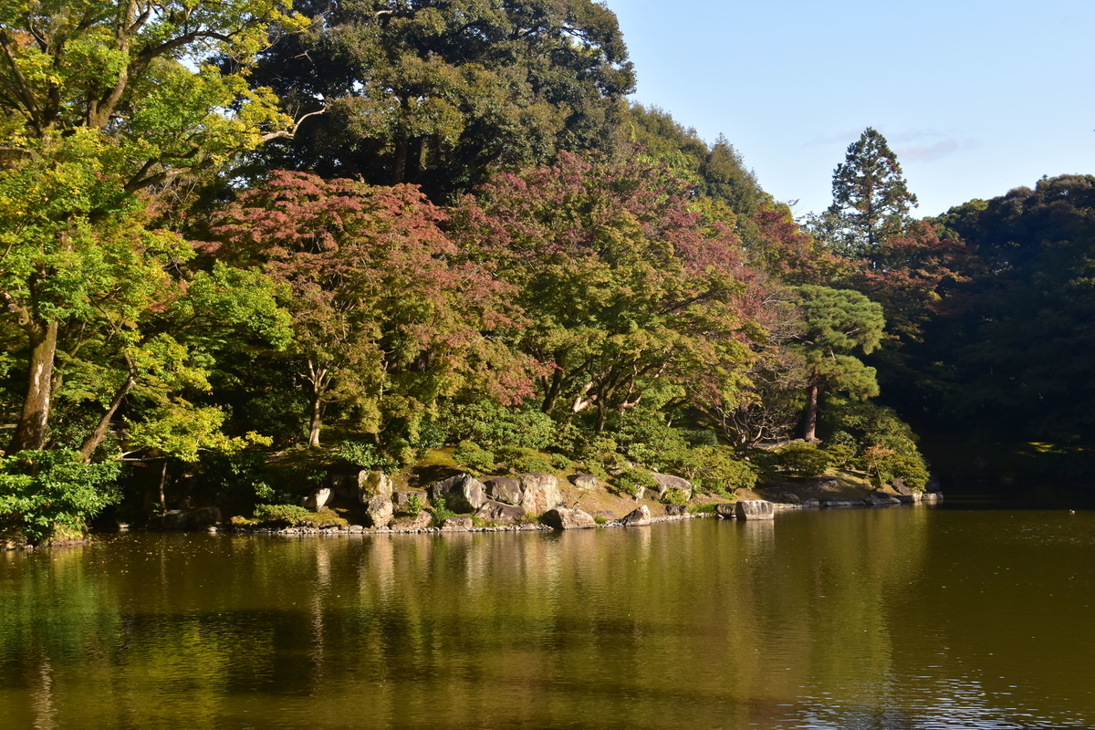京都仙洞御所・北池の紅葉 赤色づく 2019年11月1日 撮影:MKタクシー