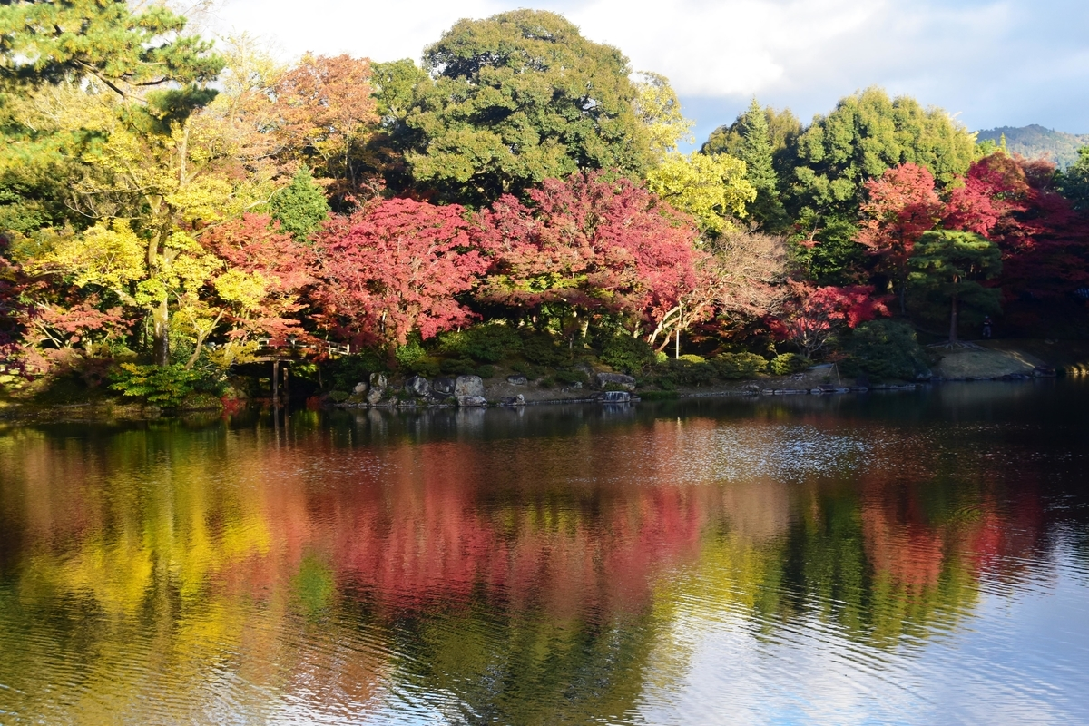 abcd・北池の紅葉 見頃 2019年11月20日 撮影:MKタクシー