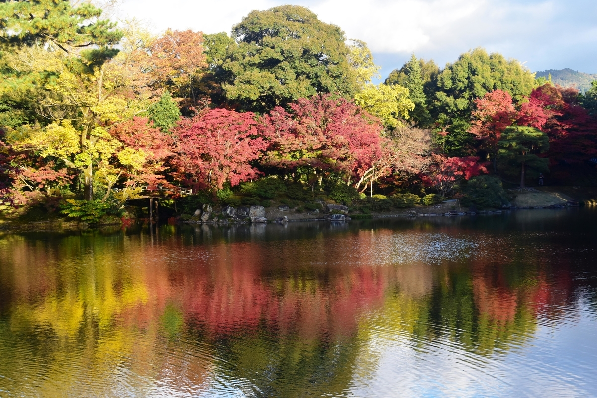 仙洞御所・北池の紅葉　見頃　2019年11月20日　撮影：MKタクシー