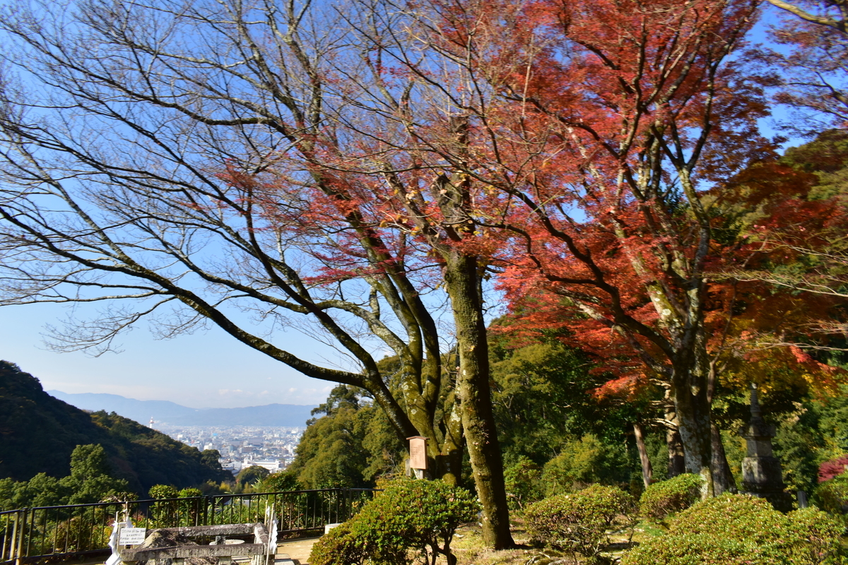 清閑寺の紅葉 散りはじめ 2019年12月14日 撮影:MKタクシー