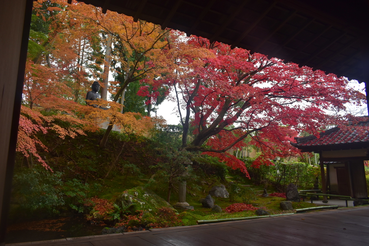 栄摂院南庭の紅葉　見頃　2019年11月30日　撮影：MKタクシー