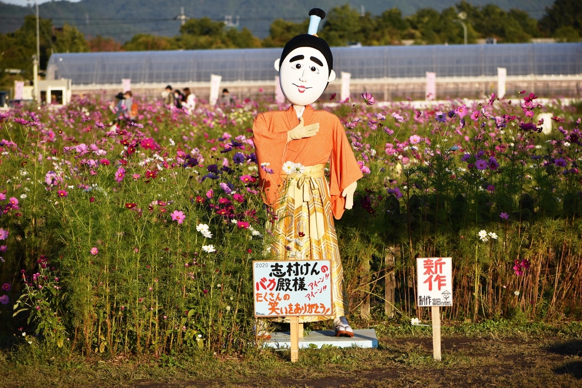 亀岡夢コスモス園 創作かかし 2020年10月20日 撮影:MKタクシー