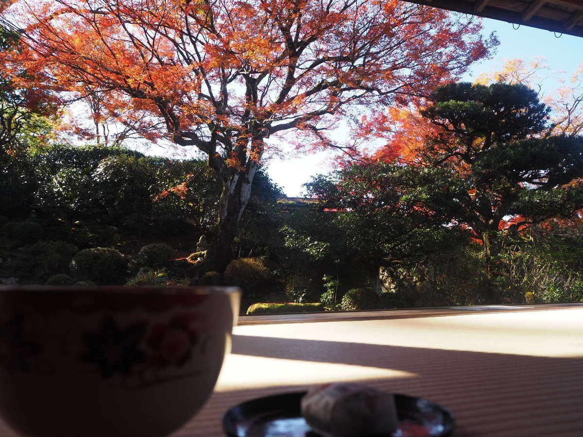 実光院・契心園の紅葉 見頃 2017年11月10日 撮影:MKタクシー