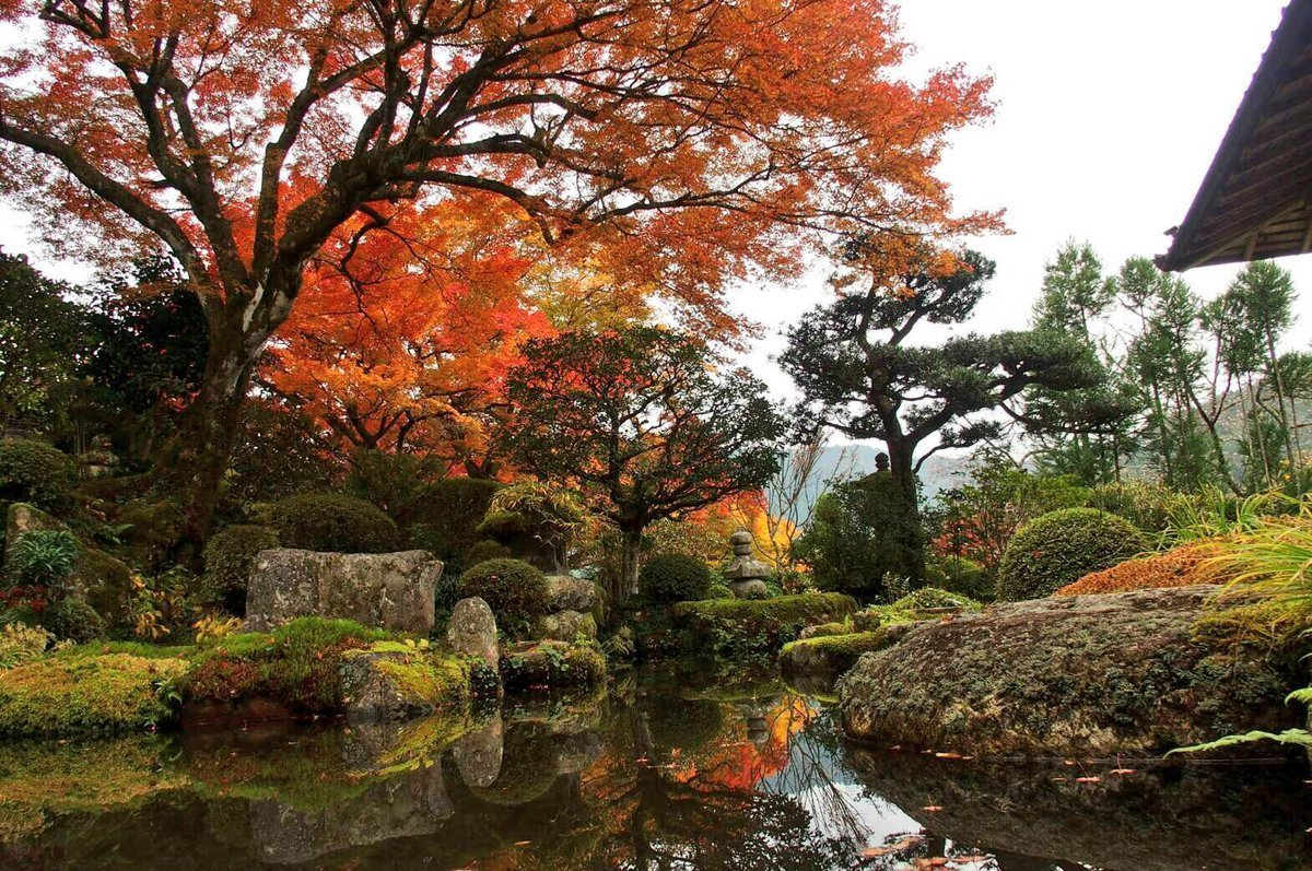 実光院・契心園の紅葉　見頃　2016年11月13日　撮影：MKタクシー