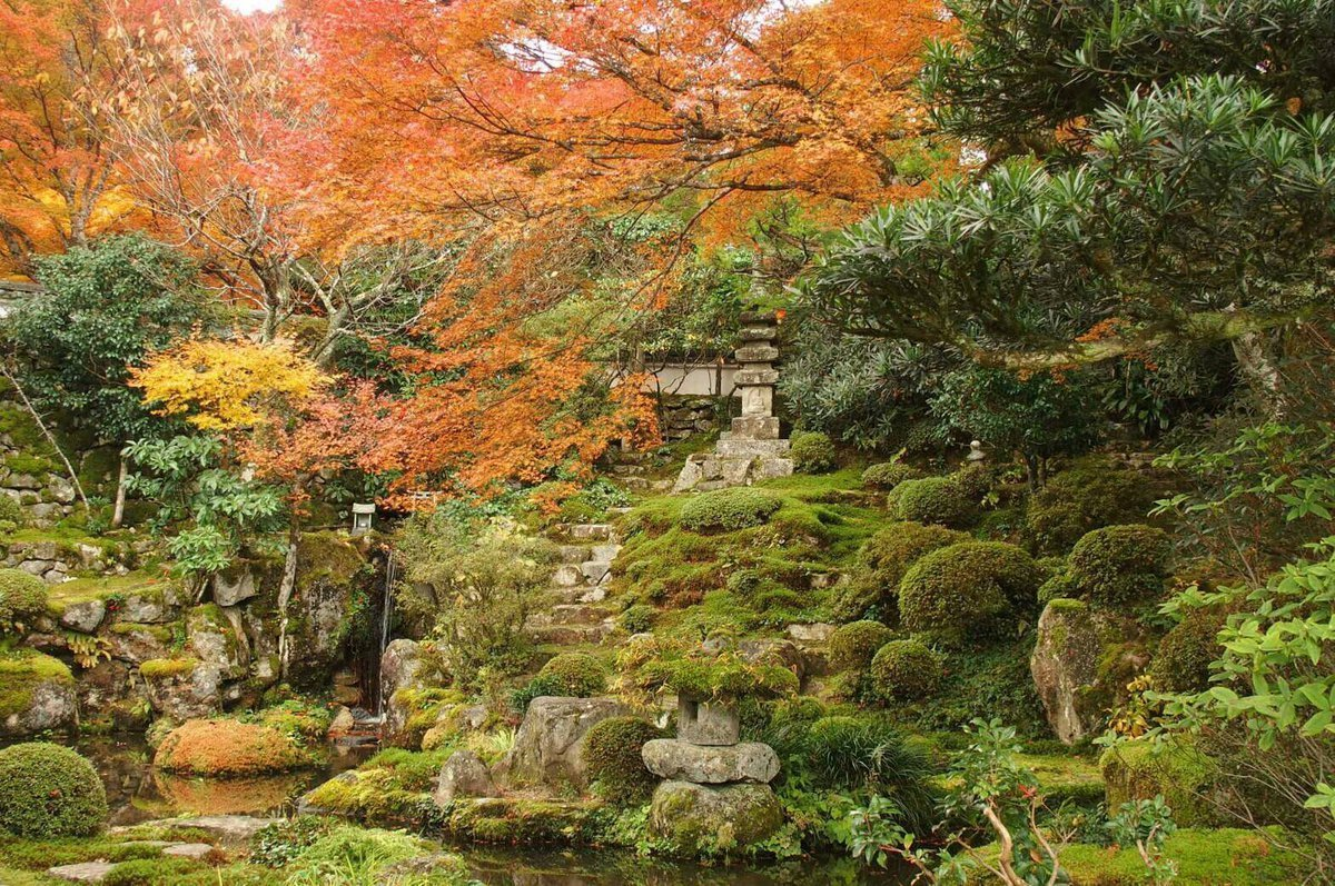 実光院・契心園の紅葉 見頃 2016年11月13日 撮影:MKタクシー