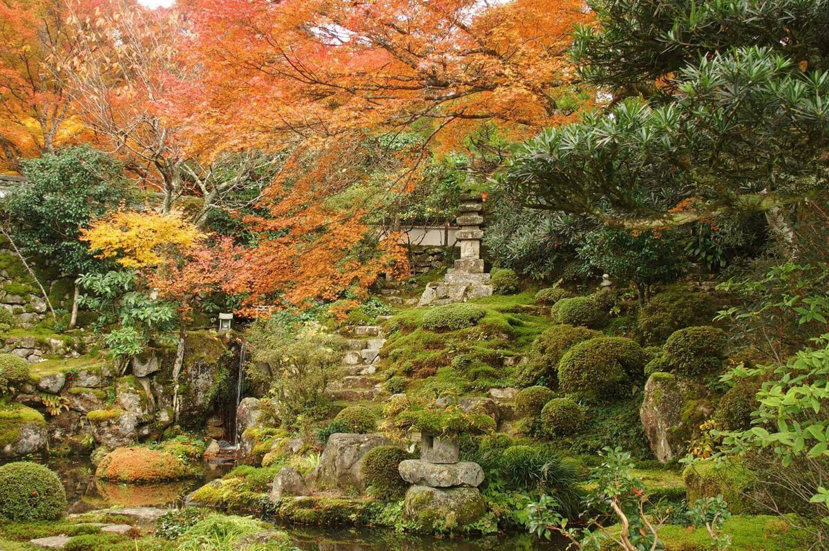 実光院・契心園の紅葉　見頃　2016年11月13日　撮影：MKタクシー