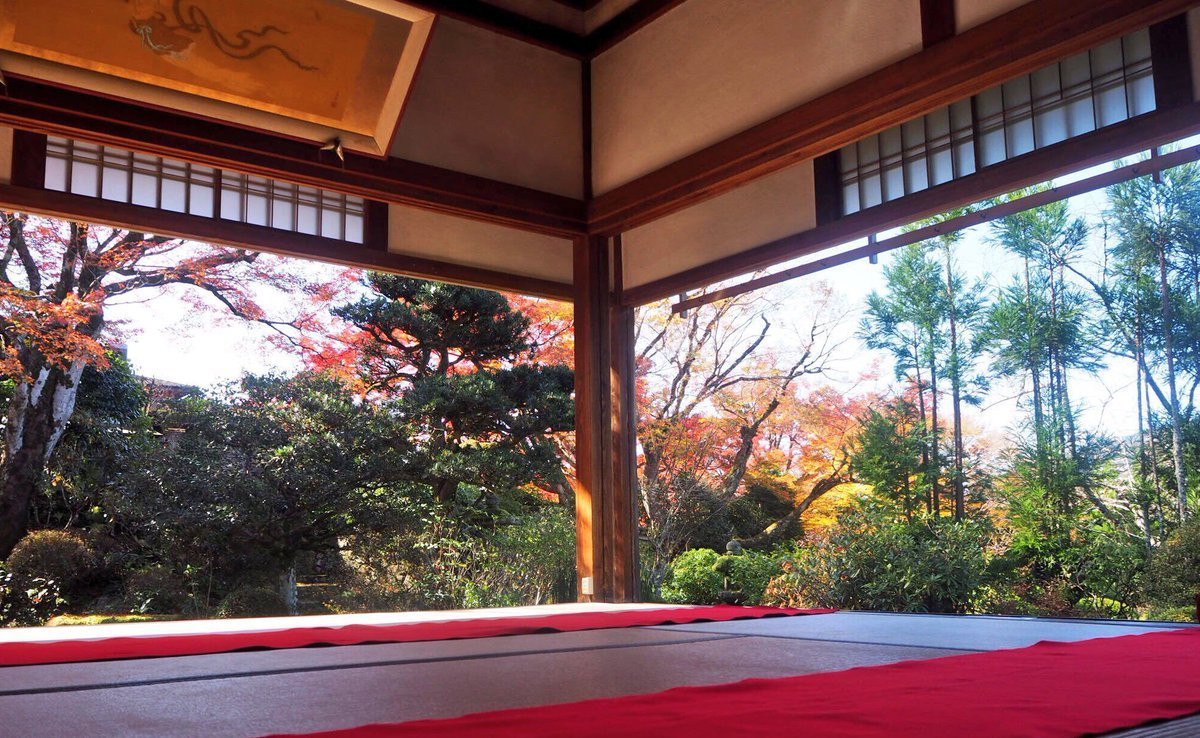 実光院・契心園の紅葉 見頃 2017年11月10日 撮影:MKタクシー