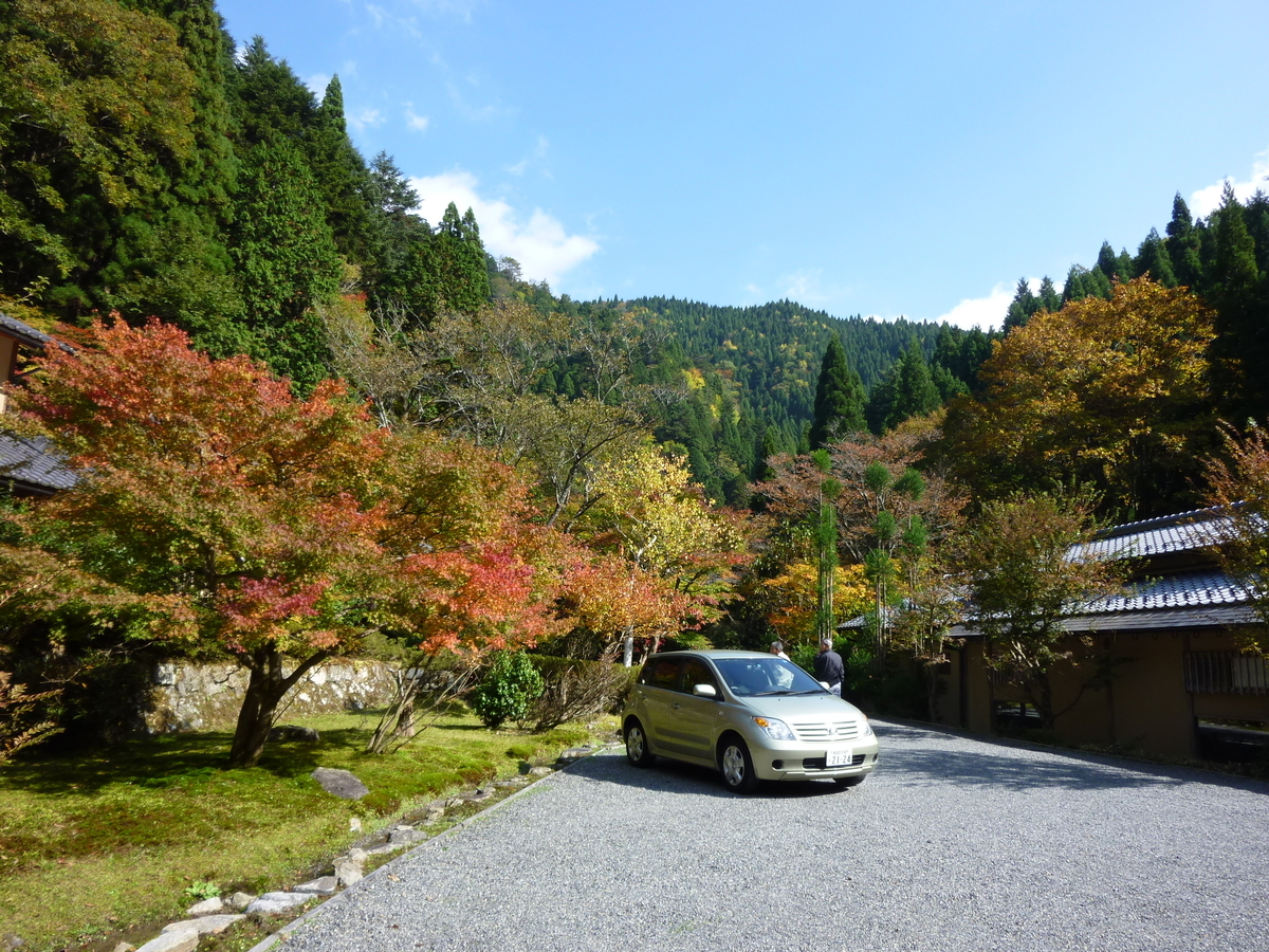 美山荘前の紅葉 見頃 2010年11月6日 撮影:MKタクシー