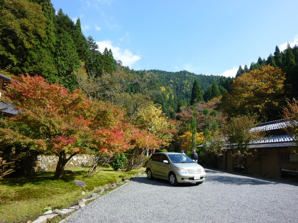 美山荘前の紅葉　見頃　2010年11月6日　撮影：MKタクシー