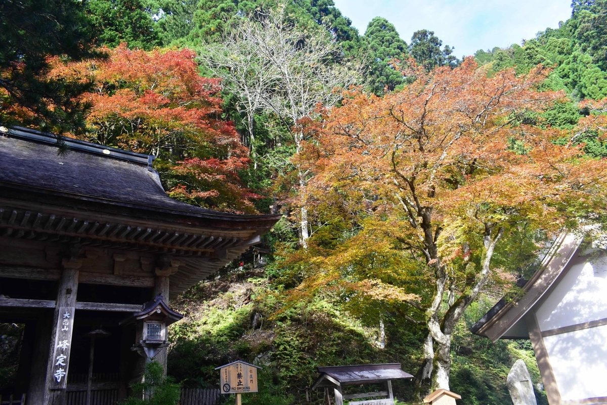 峰定寺の紅葉 見頃 11月10日 撮影:MKタクシー