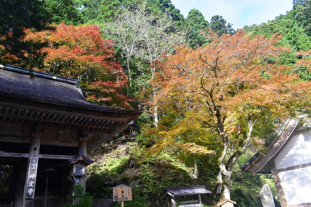 峰定寺の紅葉　見頃　11月10日　撮影：MKタクシー