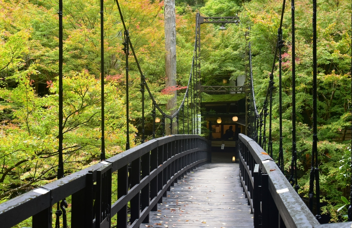 もみぢ橋の紅葉 色づきはじめ 2018年11月4日 撮影:MKタクシー