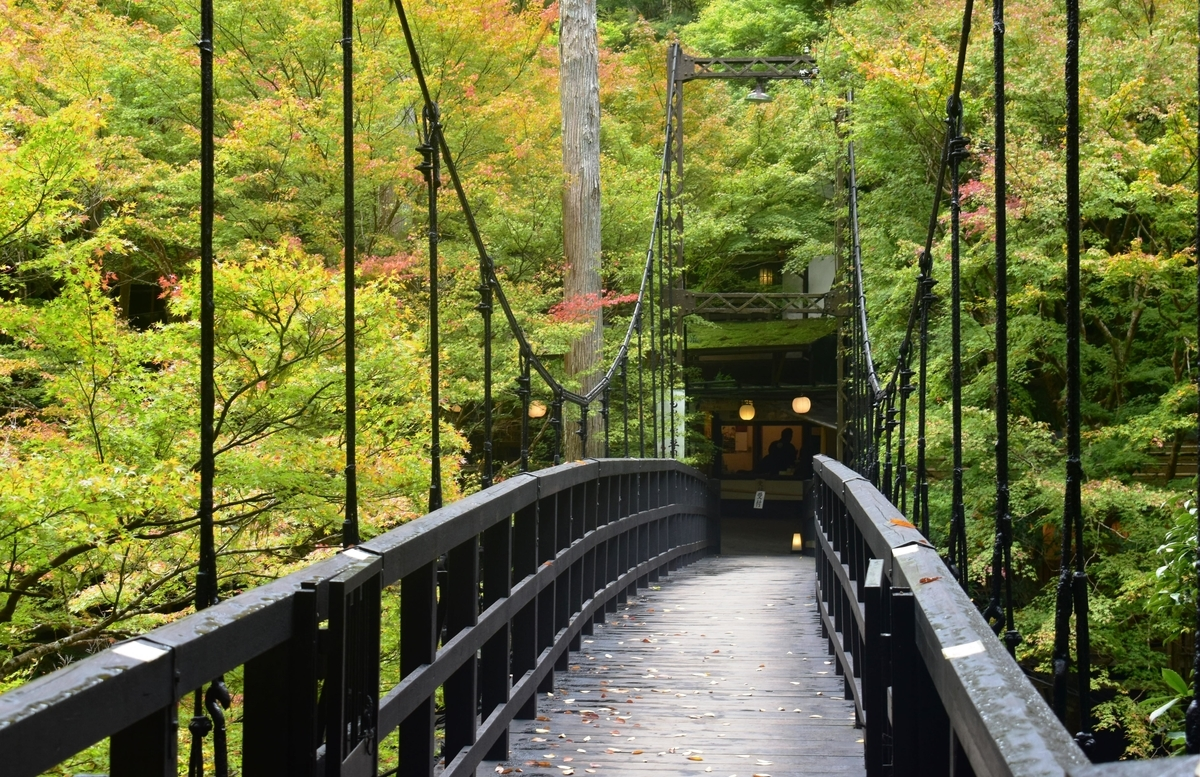 もみぢ橋の紅葉　色づきはじめ　2018年11月4日　撮影：MKタクシー