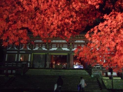 神護寺・金堂の紅葉ライトアップ　見頃　2012年11月19日　撮影：MKタクシー