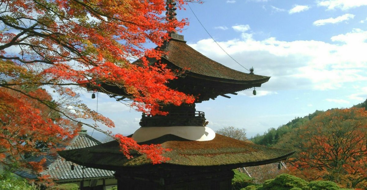 善峯寺・多宝塔の紅葉 見頃 2017年11月11日 撮影:MKタクシー