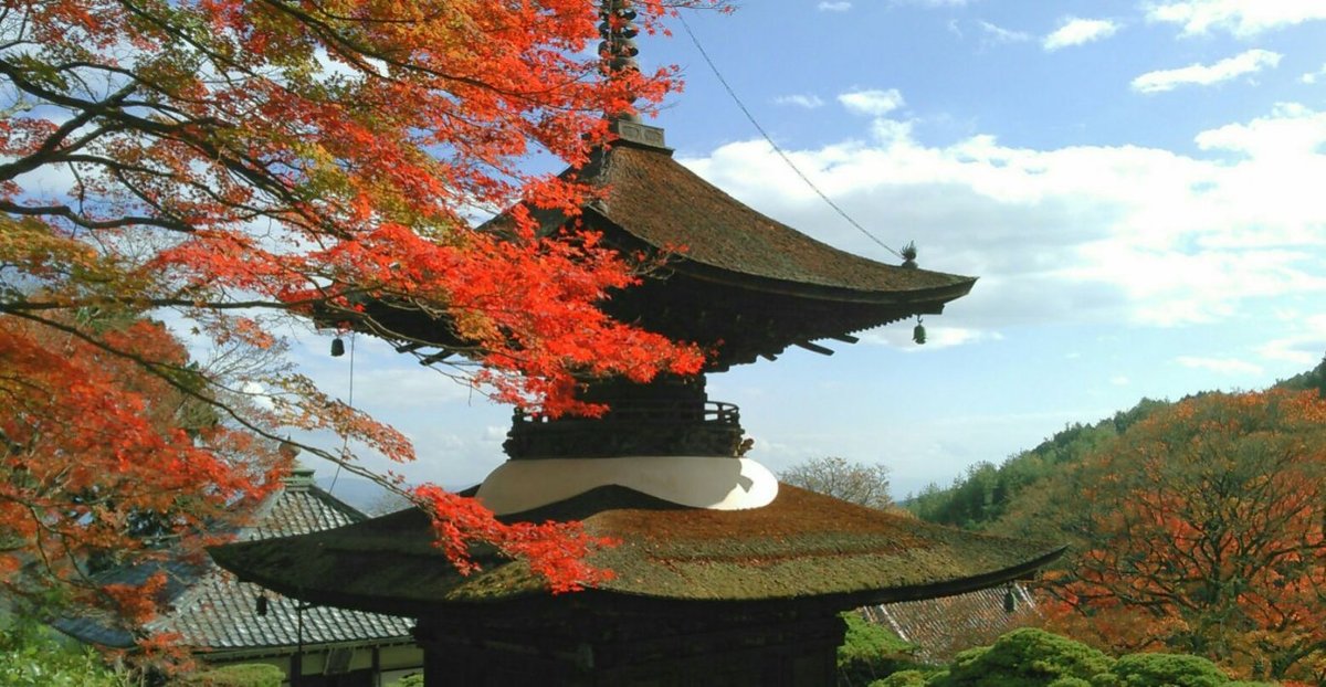 善峯寺・多宝塔の紅葉　見頃　2017年11月11日　撮影：MKタクシー