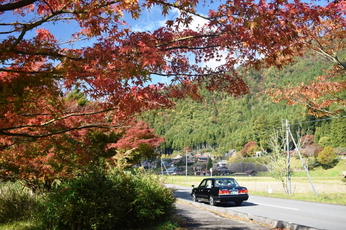 美山かやぶきの里の紅葉とMKタクシー 見頃 2019年11月10日 撮影:MKタクシー