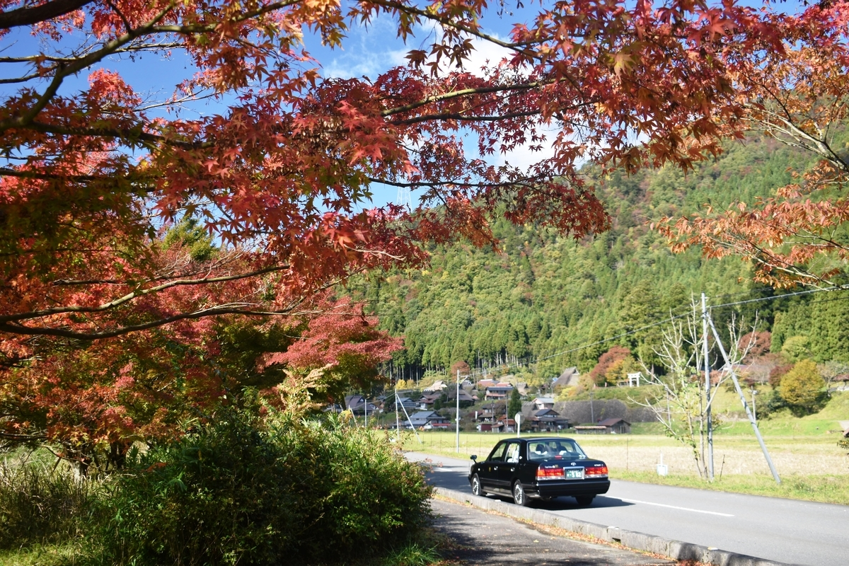 美山かやぶきの里の紅葉とMKタクシー　見頃　2019年11月10日　撮影：MKタクシー