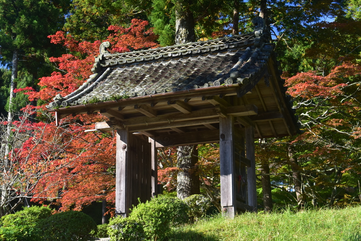 龍穏寺・山門の紅葉 見頃 2019年11月9日 撮影:MKタクシー