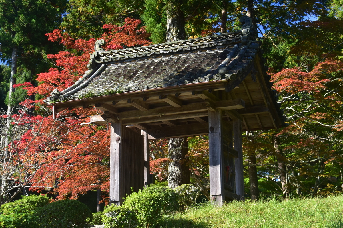 龍穏寺・山門の紅葉　見頃　2019年11月9日　撮影：MKタクシー