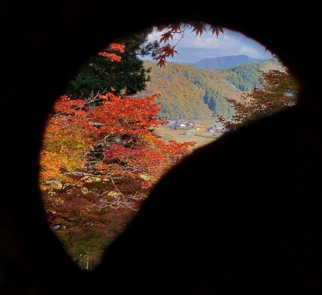 龍穏寺・灯籠越しの紅葉　見頃　2019年11月19日　撮影：MKタクシー