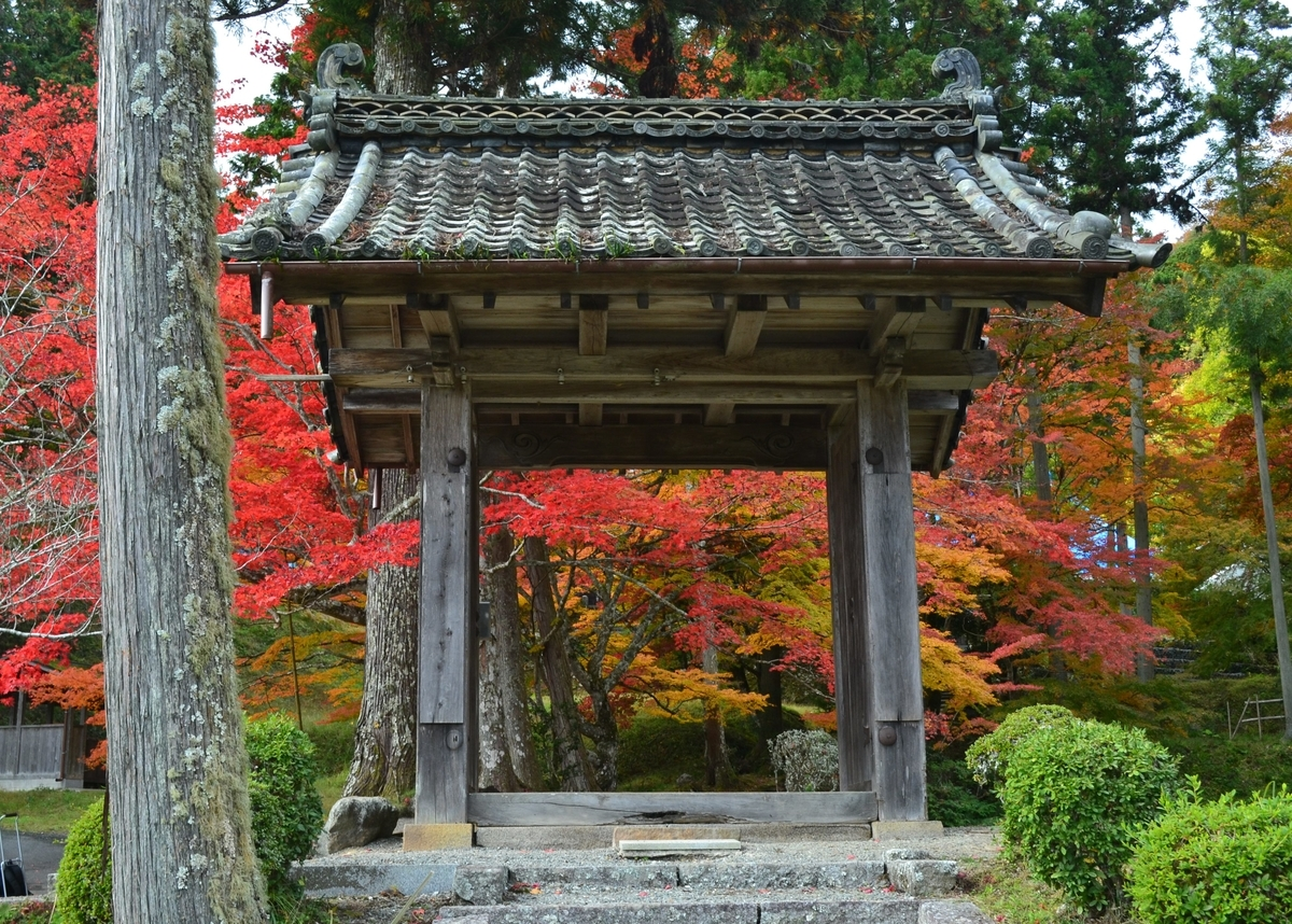 龍穏寺・山門の紅葉 見頃 2017年11月12日 撮影:MKタクシー