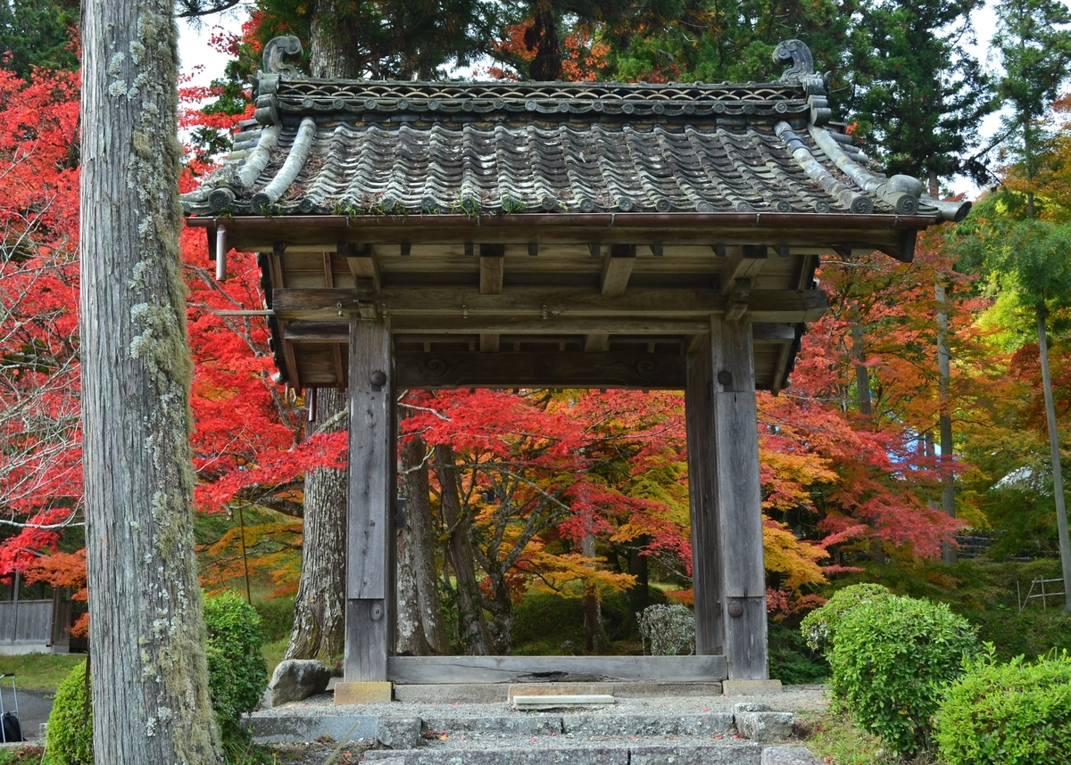 龍穏寺・山門の紅葉　見頃　2017年11月12日　撮影：MKタクシー