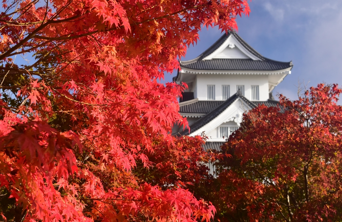 園部公園の紅葉 見頃 2019年11月9日 撮影:MKタクシー