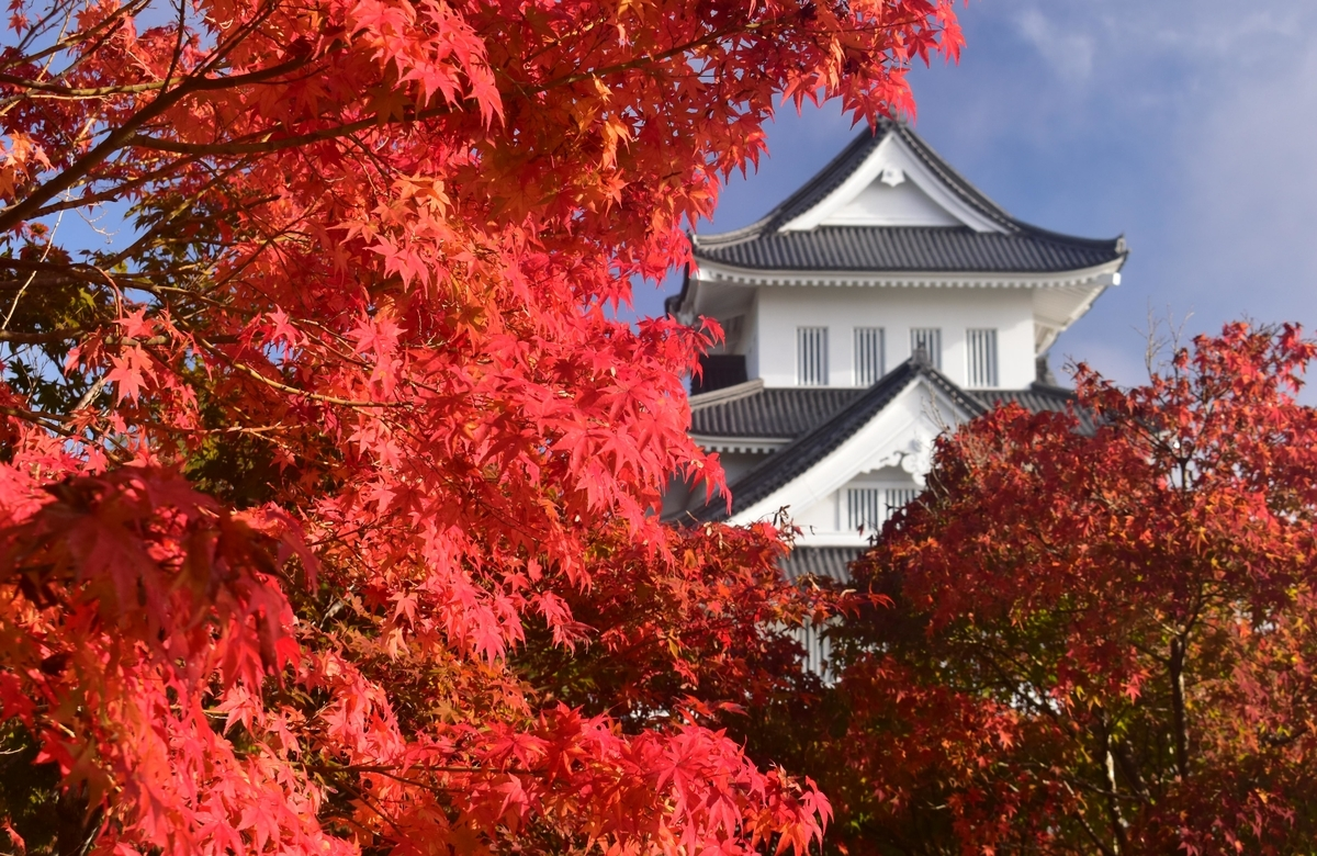 園部公園の紅葉　見頃　2019年11月9日　撮影：MKタクシー