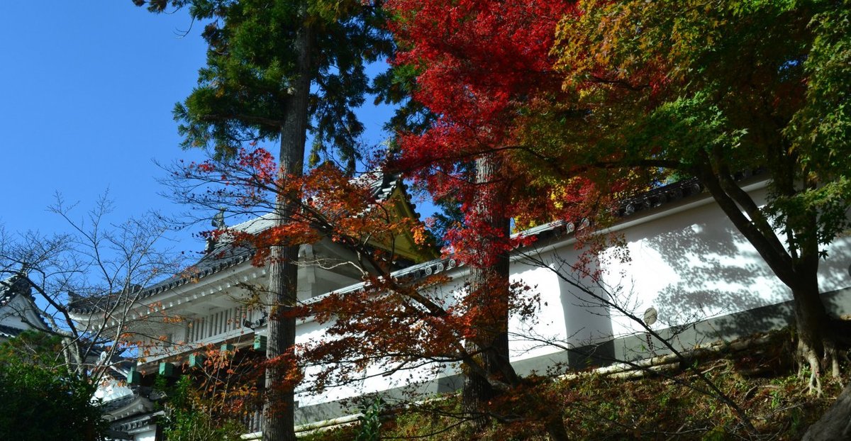 園部城の紅葉 見頃 2017年11月12日 撮影:MKタクシー