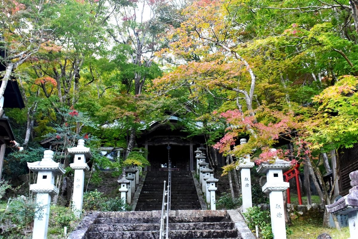 西光寺の紅葉 色づきはじめ 2019年11月9日 撮影:MKタクシー