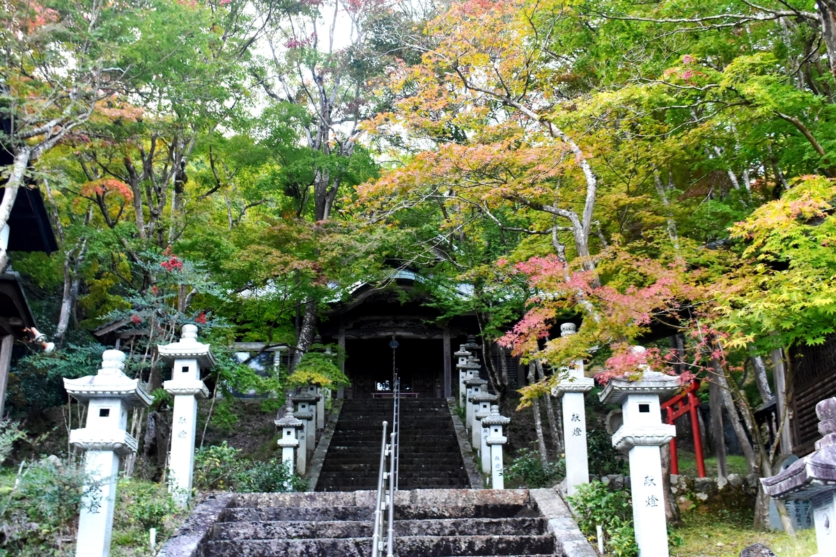 西光寺の紅葉　色づきはじめ　2019年11月9日　撮影：MKタクシー