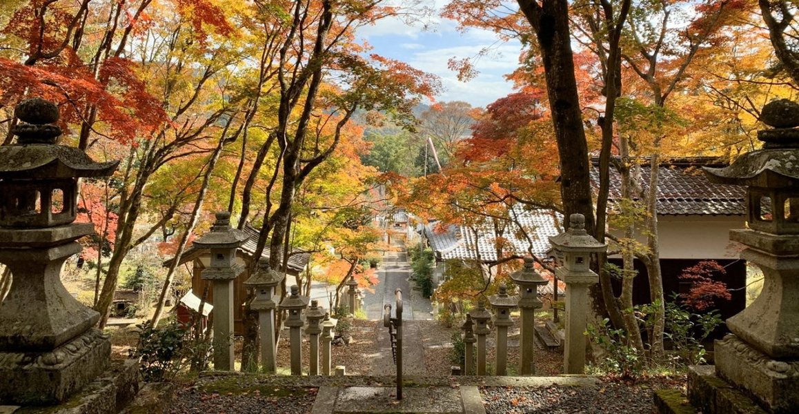 西光寺の紅葉　見頃　2019年11月19日　撮影：MKタクシー