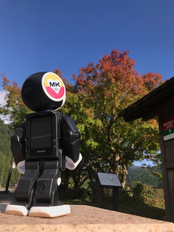 ロボホンと美山かやぶきの里の紅葉 色づきはじめ 2018年10月19日 撮影:MKタクシー