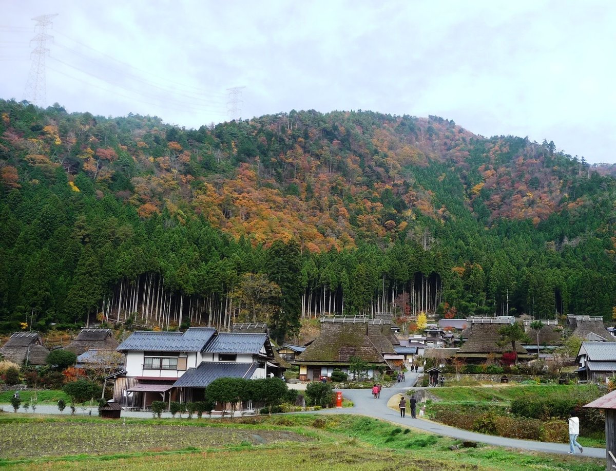 美山かやぶきの里の紅葉 見頃 2009年11月15日 撮影:MKタクシー