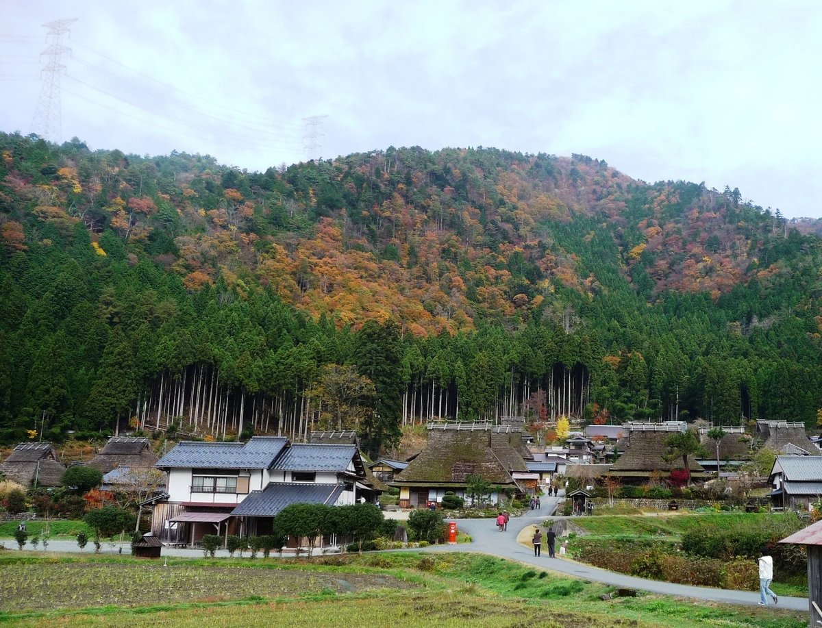 美山かやぶきの里の紅葉　見頃　2009年11月15日　撮影：MKタクシー