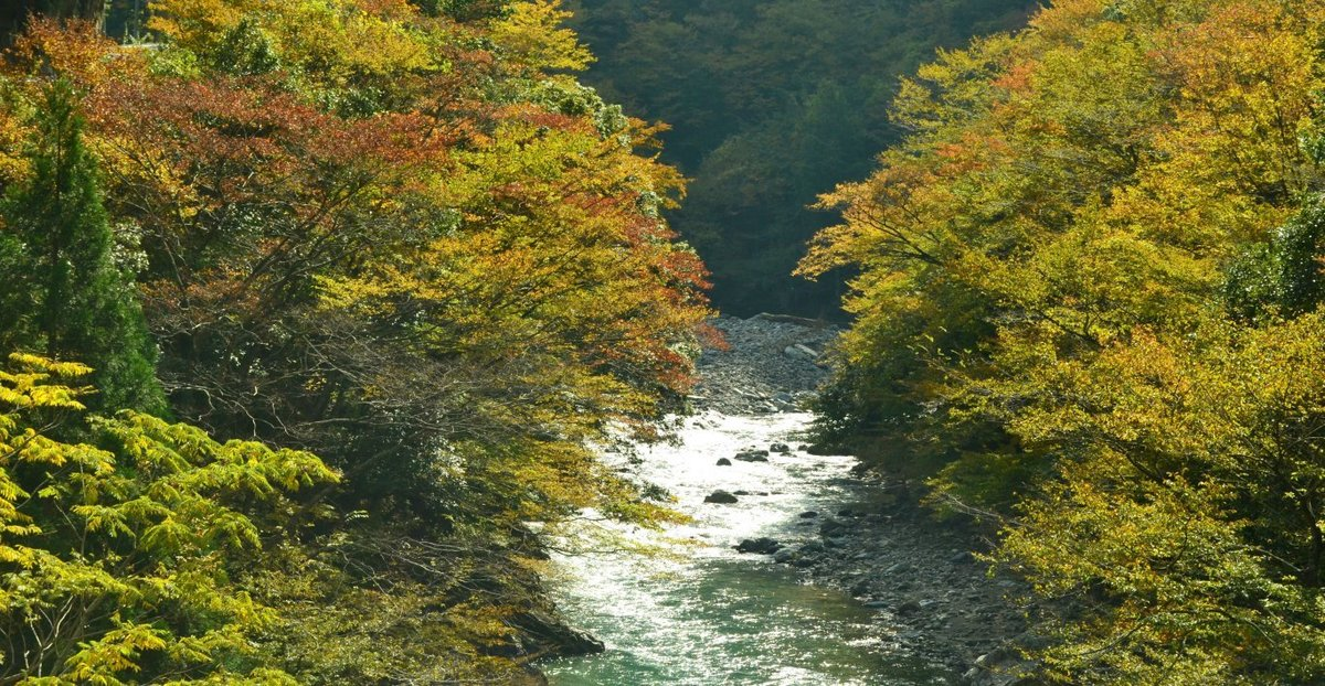唐戸渓谷の紅葉 見頃 2017年11月3日 撮影:MKタクシー