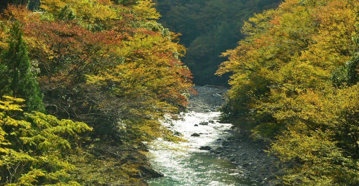 唐戸渓谷の紅葉　見頃　2017年11月3日　撮影：MKタクシー