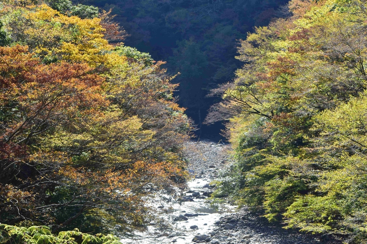 唐戸渓谷の紅葉 見頃 2019年11月10日 撮影:MKタクシー
