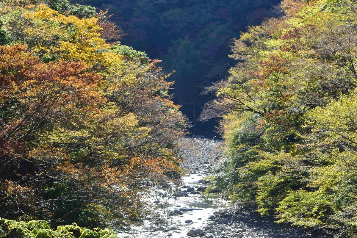 唐戸渓谷の紅葉　見頃　2019年11月10日　撮影：MKタクシー