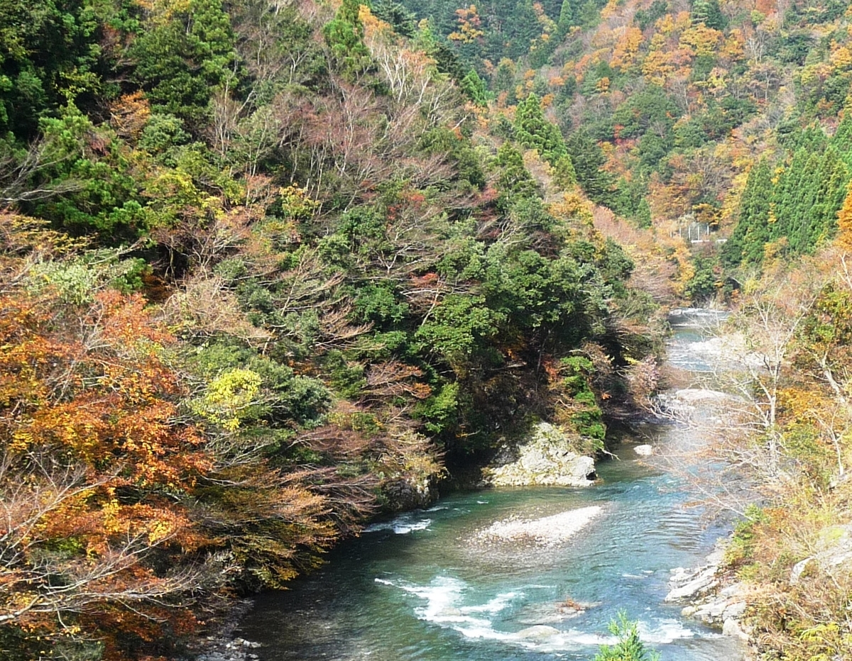 唐戸渓谷の紅葉 見頃 2009年11月15日 撮影:MKタクシー