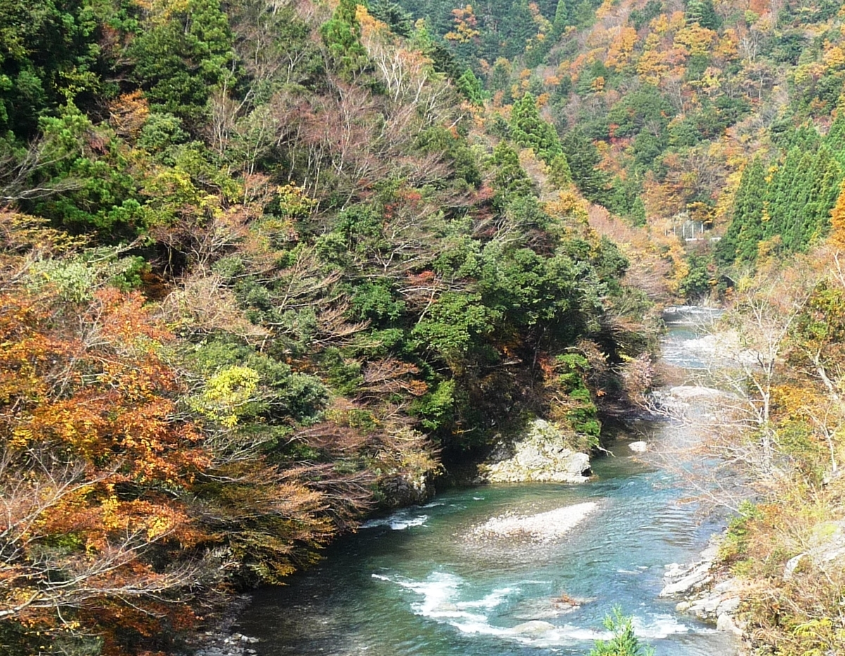 唐戸渓谷の紅葉　見頃　2009年11月15日　撮影：MKタクシー