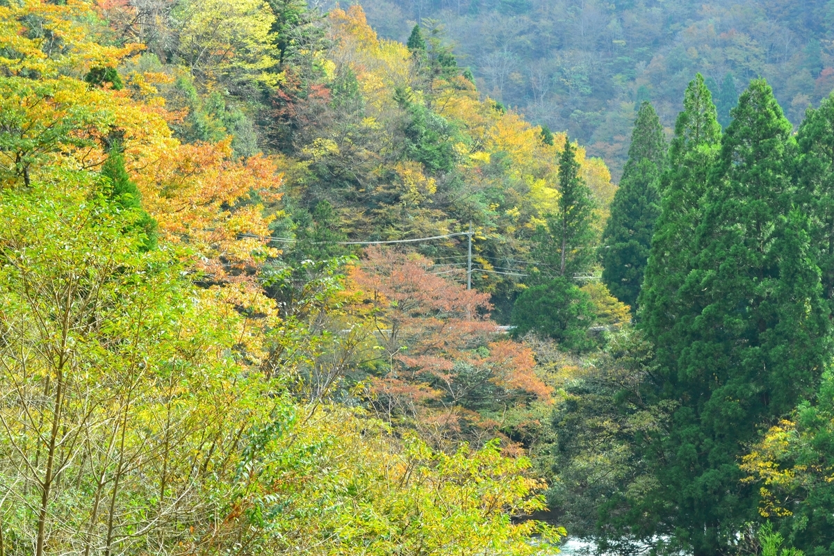 唐戸渓谷の紅葉　見頃　2017年11月3日　撮影：MKタクシー