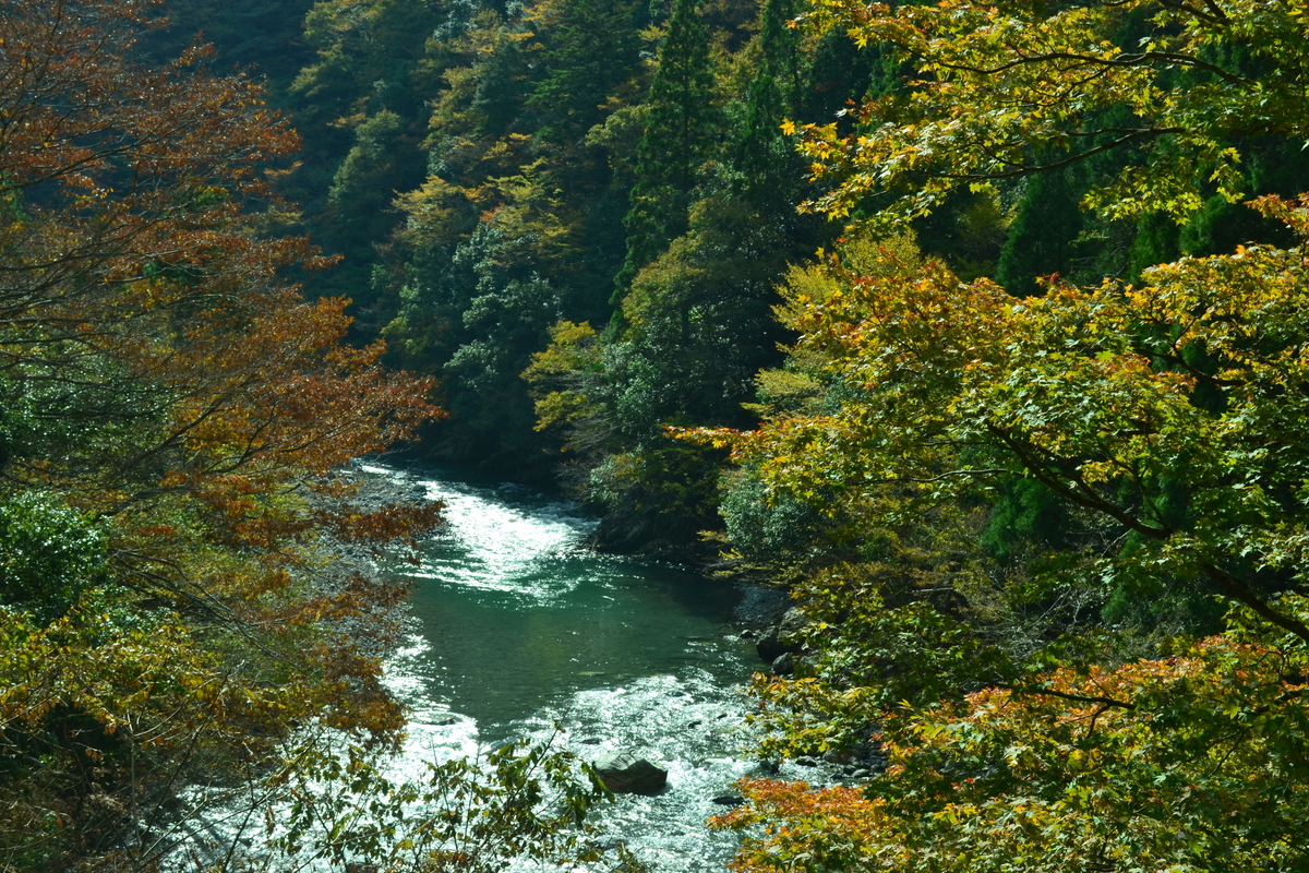 唐戸渓谷の紅葉 見頃 2017年11月3日 撮影:MKタクシー
