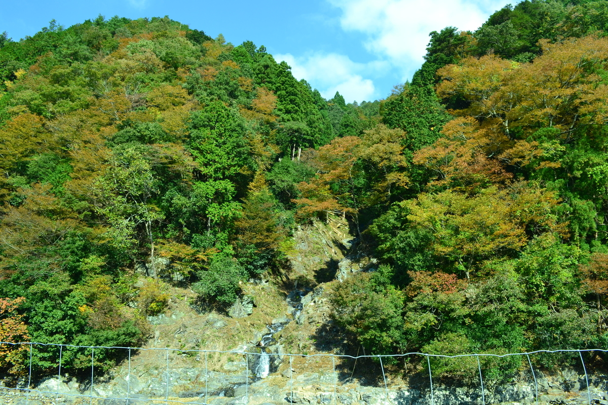 蓮如の滝の紅葉 見頃 2017年11月3日 撮影:MKタクシー