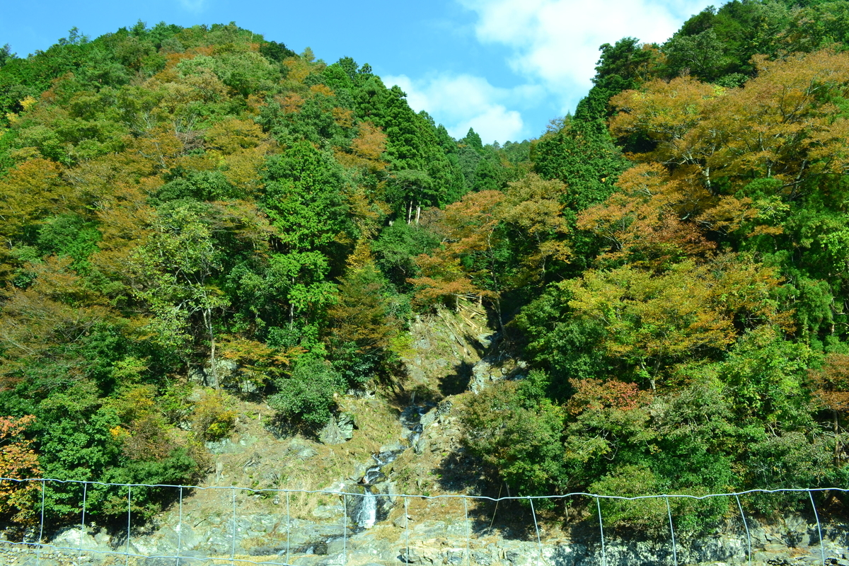 蓮如の滝の紅葉　見頃　2017年11月3日　撮影：MKタクシー