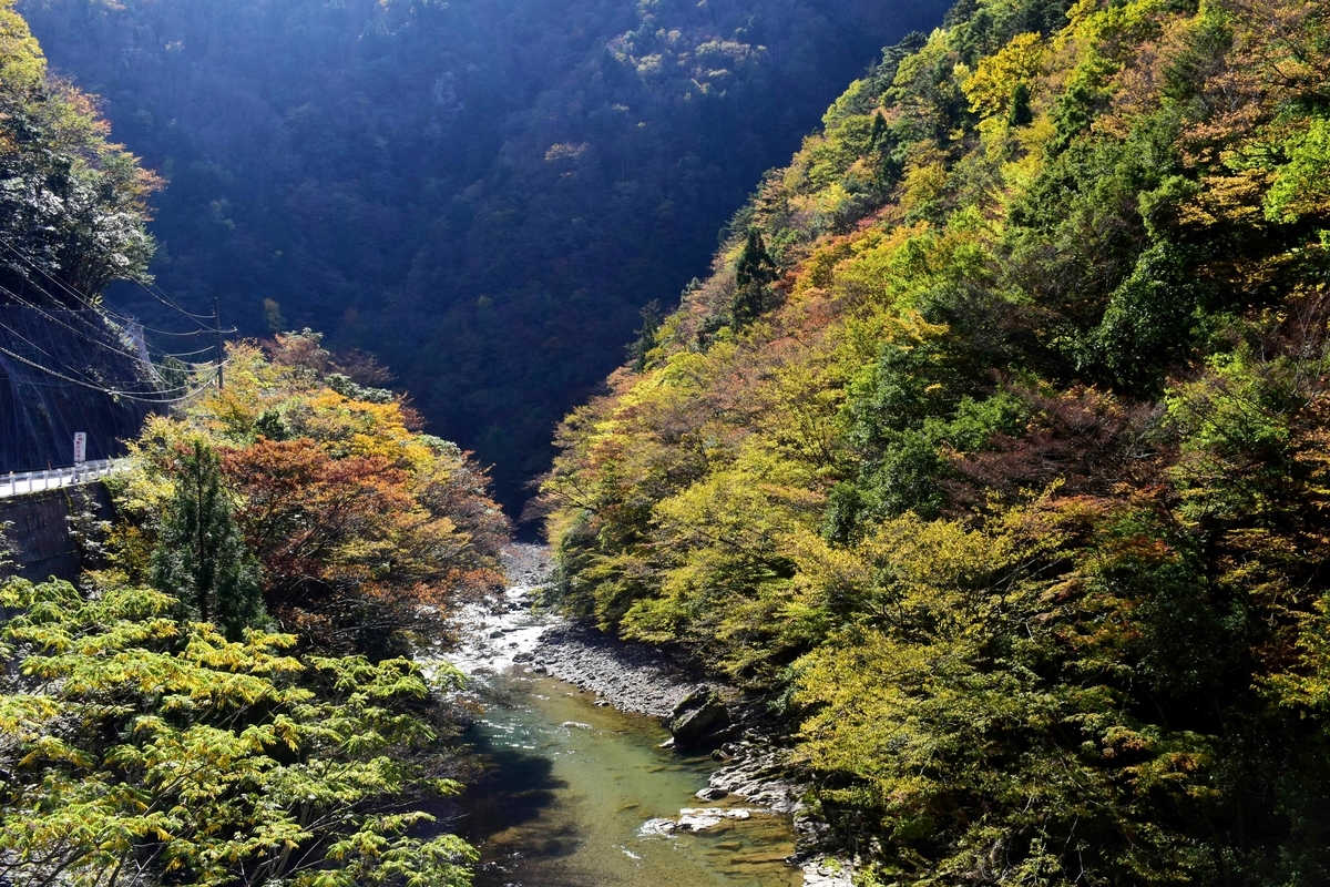 唐戸渓谷の紅葉　見頃　2019年11月10日　撮影：MKタクシー